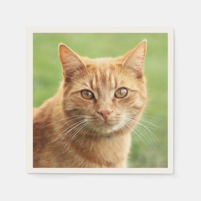 Cute orange cat portrait napkin (Front)
