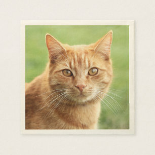 Cute orange cat portrait napkin