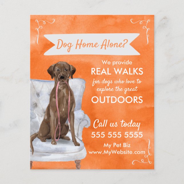 Cute Orange Dog Walker Flyer with Swirls Banner (Front)