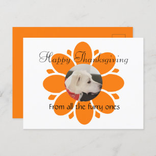 Cute Orange Flower Mum Frame for Pet Photo Postcard