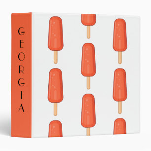Cute Orange Popsicle Custom Name Binder