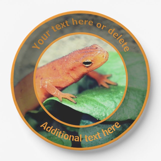 Cute Orange Salamander Nature Personalized Party Paper Plate (Front)