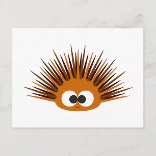 Cute Orange Sea Urchin Postcard