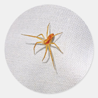 Cute Orange Spider Classic Round Sticker