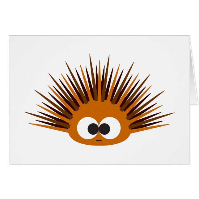 Cute Orange Spiny Sea Urchin (Front Horizontal)