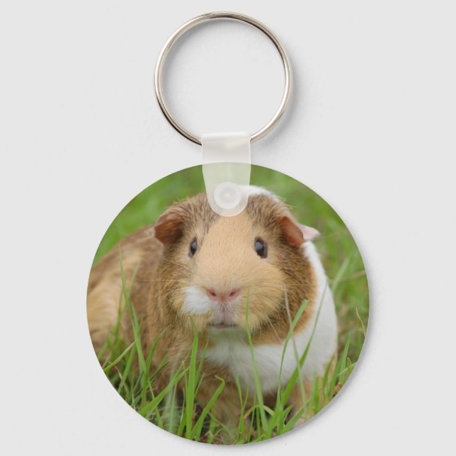 Cute orange-white guinea pig in grass keychain (Front)