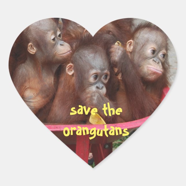 Cute Orangutan Babies Heart Sticker (Front)