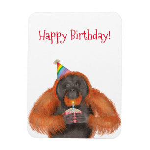 Cute orangutan birthday magnet