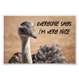 Cute ostrich photo print
