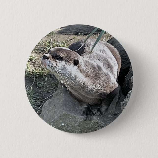 CUTE OTTER  2 INCH ROUND BUTTON (Front)