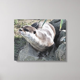 CUTE OTTER  CANVAS PRINT