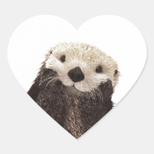 Cute Otter drawing Heart Sticker (Front)