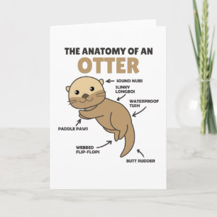 Cute Otter Explanation Anatomy Of An Otter Card
