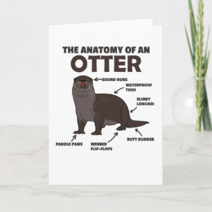 Cute Otter Explanation Anatomy Of An Otter Card