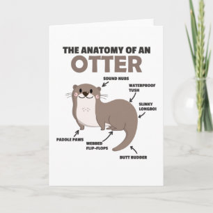 Cute Otter Explanation Anatomy Of An Otter Card