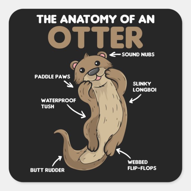 Cute Otter Explanation Anatomy Of An Otter Square Sticker (Front)