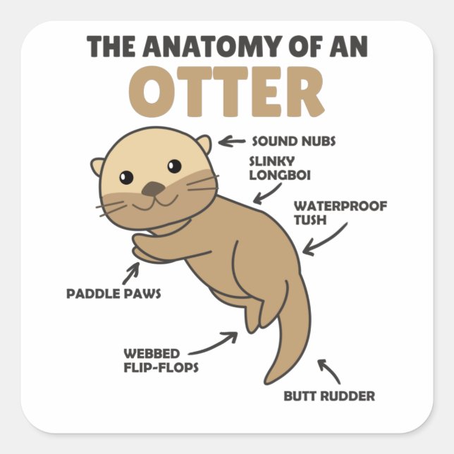 Cute Otter Explanation Anatomy Of An Otter Square Sticker (Front)
