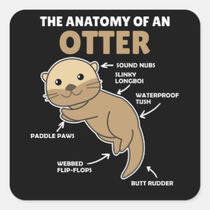 Cute Otter Explanation Anatomy Of An Otter Square Sticker