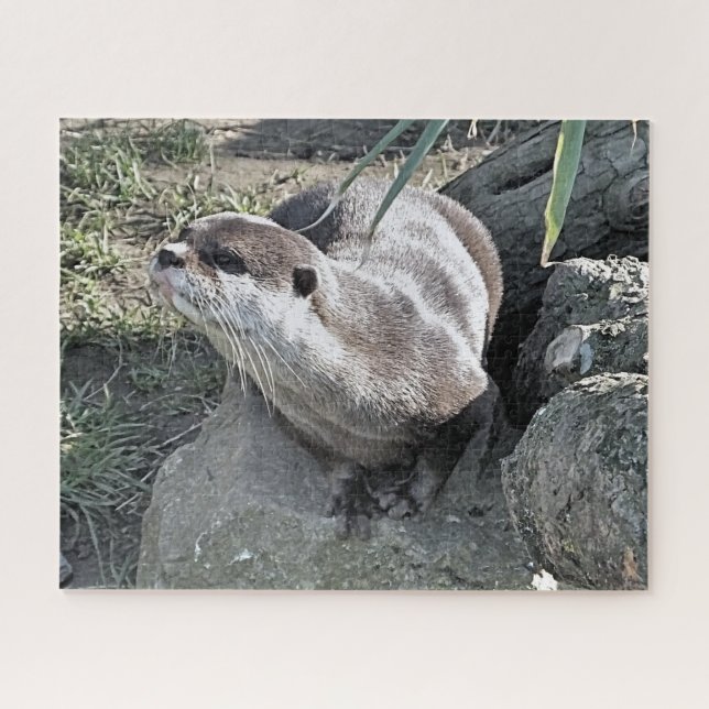 CUTE OTTER  JIGSAW PUZZLE (Horizontal)