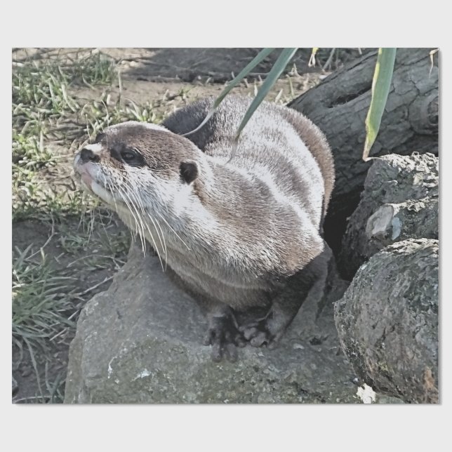 CUTE OTTER   WRAPPING PAPER (Flat)