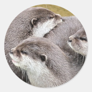CUTE OTTERS CLASSIC ROUND STICKER