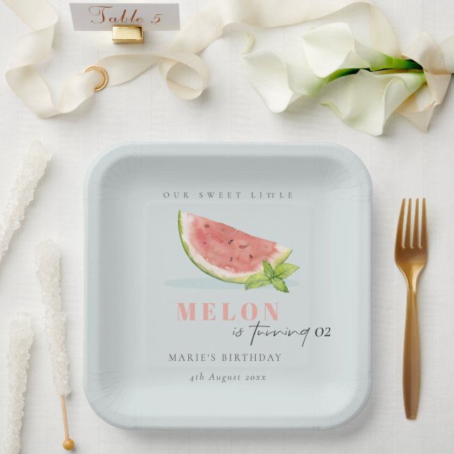 Cute Our Little Melon Blue Any Age Birthday Paper Plate (Wedding)