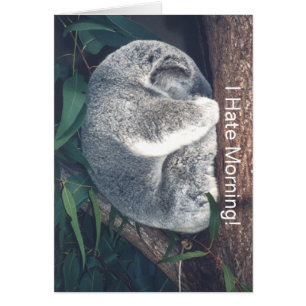 CUTE OURS DE KOALA DANS L'ARBRE/"JE DÉTESTE LE MAT