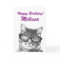 Cute oversized Birthday card with funny cat image