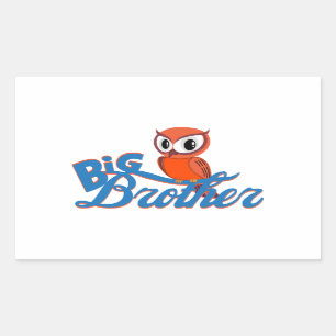 Cute Owl Big Brother Sticker
