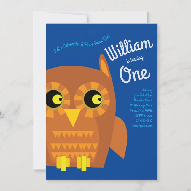 Cute Owl Bird Kids 1st Birthday Party Invitation (Front)