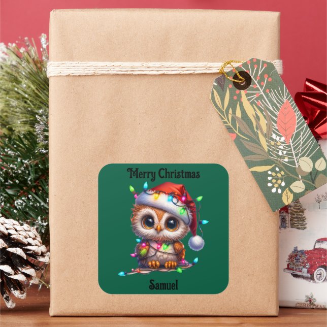 cute owl Christmas holiday Sticker (Holiday)