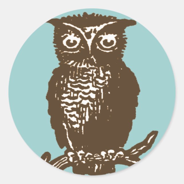 Cute Owl Classic Round Sticker (Front)