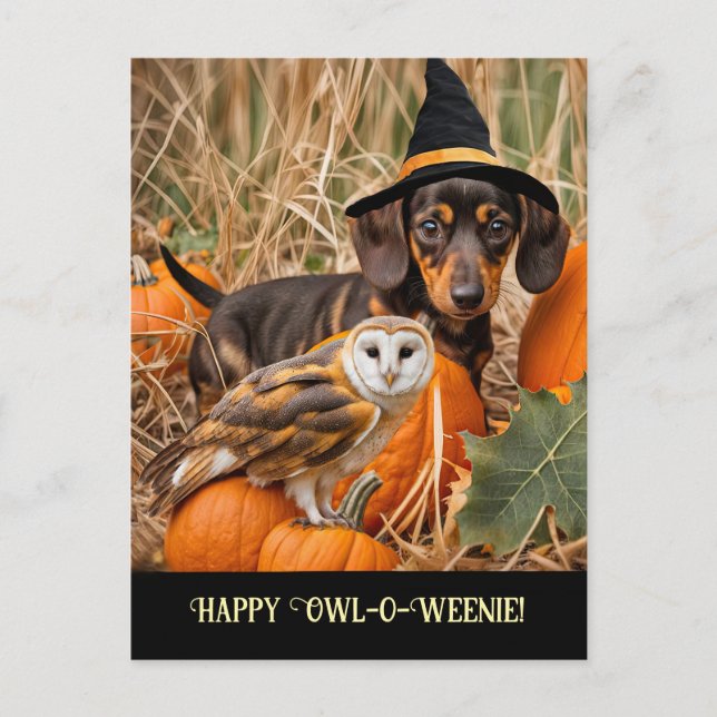 Cute Owl Dachshund Happy Halloween Holiday Postcard (Front)