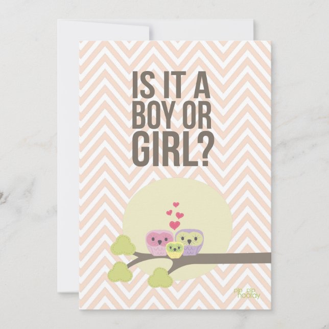 Cute Owl Famille Bébé Genre Reveal Invitation (Devant)