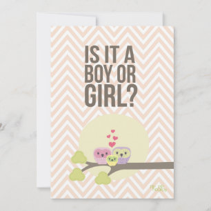 Cute Owl Famille Bébé Genre Reveal Invitation