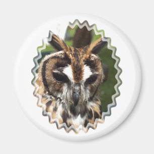 CUTE OWL MAGNET