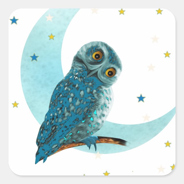 Cute Owl  Moon and Stars Square Sticker (Front)
