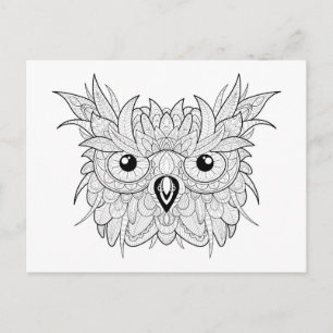 Cute Owl Portrait Doodle Postcard