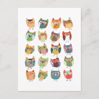 cute Owl post card, colorful owls, owl lovers. Postcard