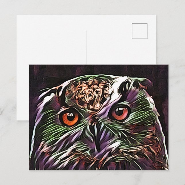 CUTE OWL POSTCARD (Front/Back)