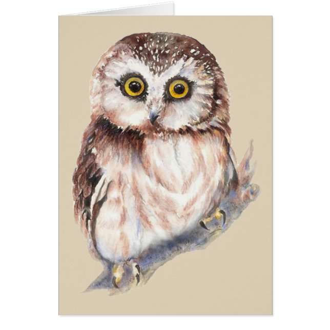 Cute Owl - Watercolor Bird Collection (Front)