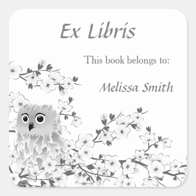 Cute Owl White Grey | Ex Libris Add Name Square Sticker (Front)