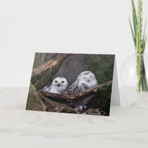 Cute Owls Card