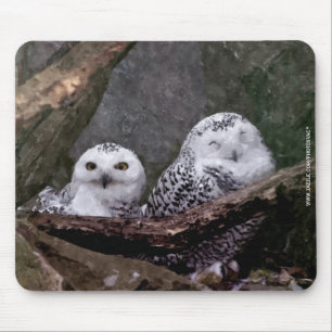 Cute Owls Mouse Pad