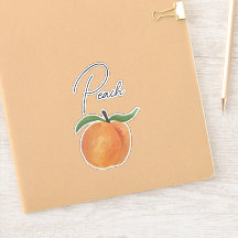 Cute Painted Peach Fruit Illustration