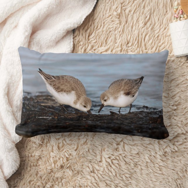 Cute Pair of Sanderlings Sandpipers Shares Lumbar Pillow (Blanket)