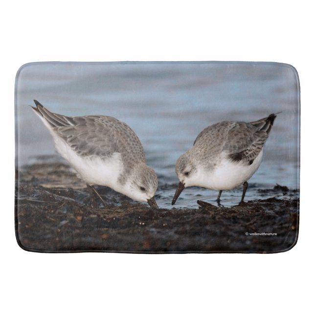 Cute Pair of Sanderlings Shares a Seaside Meal Bath Mat (Front)