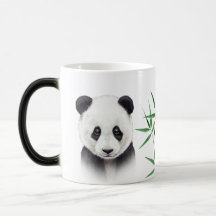 Cute Panda and Bamboo