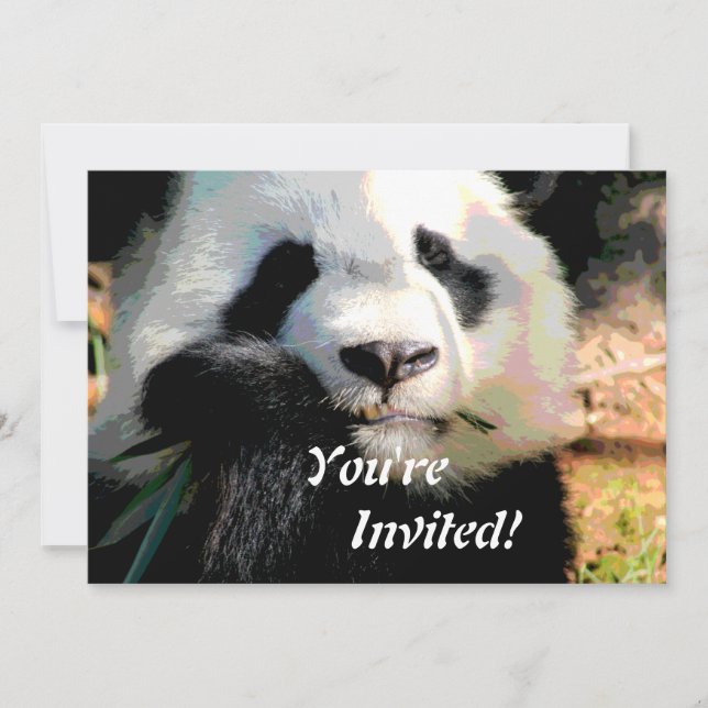 Cute Panda Bear Invitation (Front)