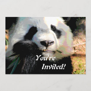 Cute Panda Bear Invitation
